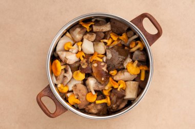 Mantar Chanterelles ve temiz kesim Porcini