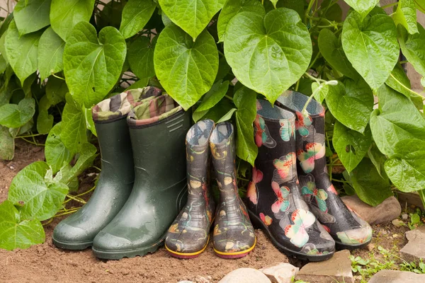 Rubber Boots With Green Leaves Plant