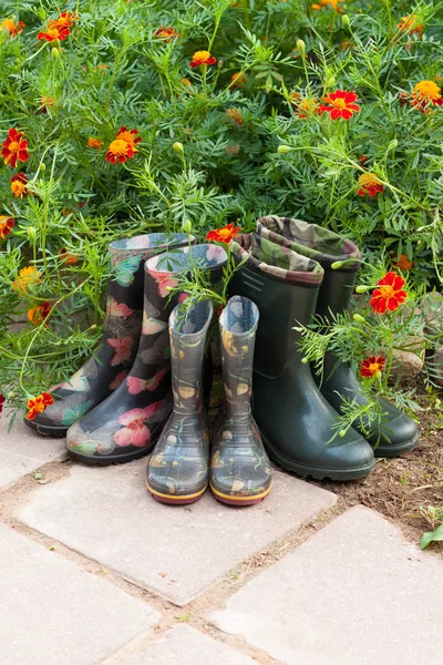Botas de borracha perto de flores calêndula no jardim — Fotografia de Stock