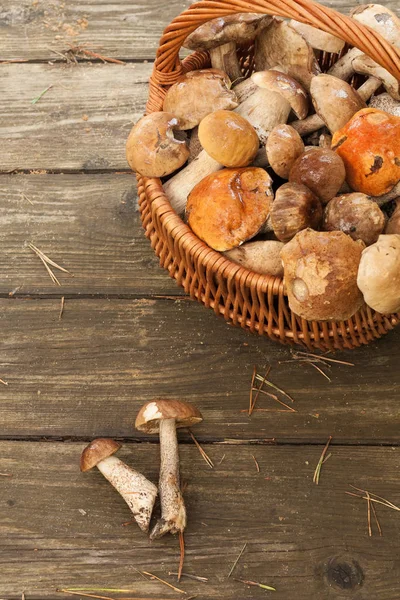 Setas Leccinum Scabrum en cesta sobre tabla de madera — Foto de Stock