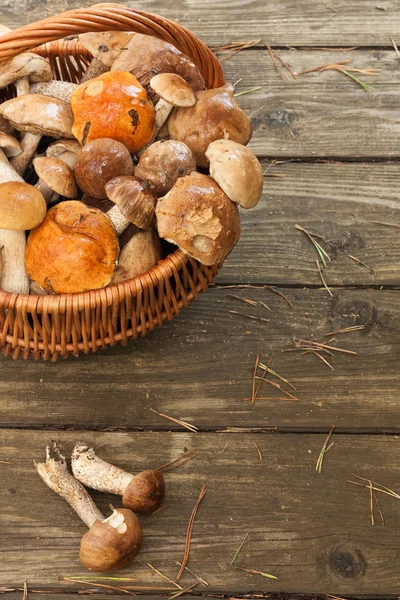 Setas Leccinum Scabrum en cesta sobre tabla de madera — Foto de Stock