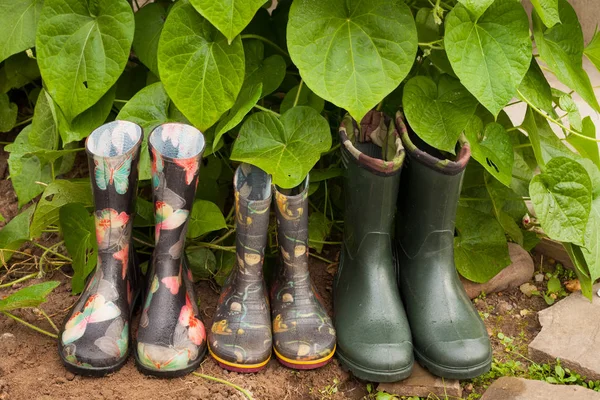 Zahradní deštivé gumové boty v zahradě. — Stock fotografie