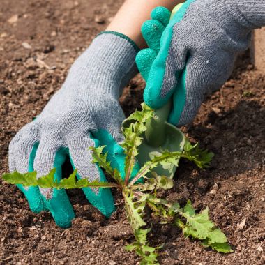 Kadın çiftçi el kepçe ile ot bahçe içinde çek..
