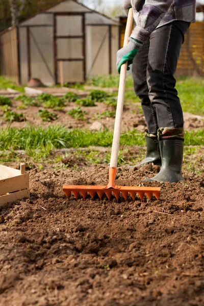 Mannelijke tuinman harken bodem met tuin gereedschap. — Stockfoto