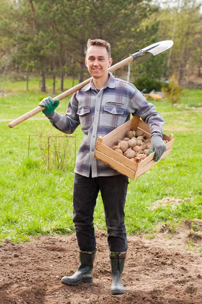 Granjero macho sosteniendo en sus manos pala y caja de madera con semilla —  Fotos de Stock