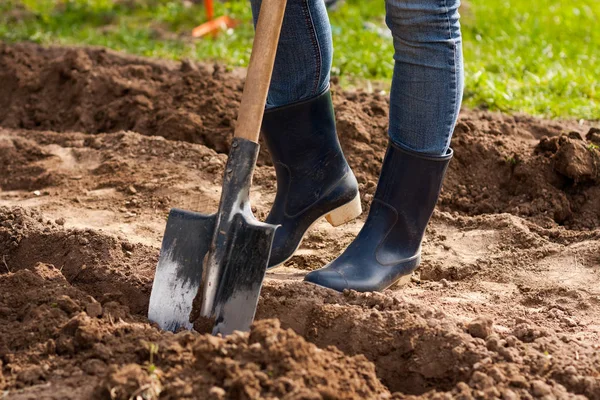 Vrouwen benen boer In Rubber laarzen met schop In tuin. — Stockfoto