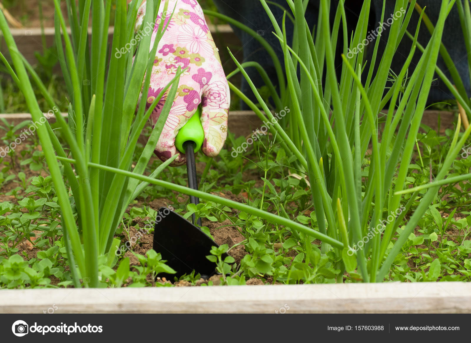 Vegetable Garden Weeding Tools Fasci Garden