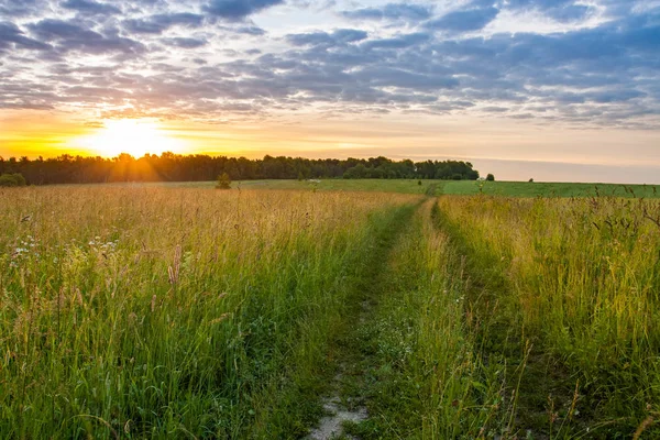 Camino del campo en el campo de pradera rural bajo el cielo al amanecer . — Foto de Stock