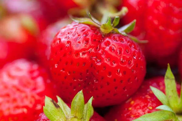 Berry vermelho de morango no fundo . — Fotografia de Stock