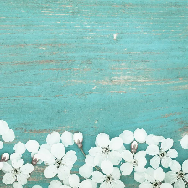 Kiraz eski ahşap masa üzerinde beyaz yaprakları.