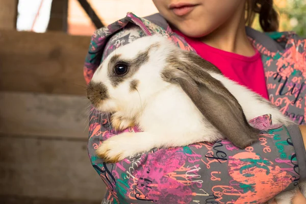 Embrace küçük kızın sevimli tavşan. — Stok fotoğraf