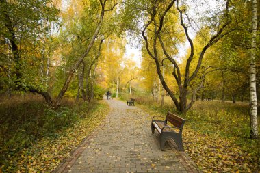 Benche Park açık çini yolu üzerinde.