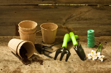 Eski ahşap gri masa üzerinde Bahçe aletleri.