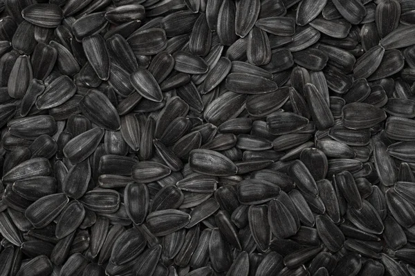 Fresh Black Sunflower Seeds Texture Background.