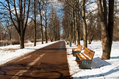 Park güneşli baharda. Ahşap banklar ile ve erimiş kar Bahar park ile yaya yol asfalt.