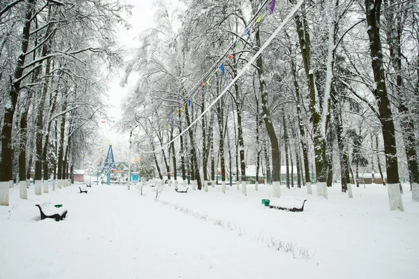 Білий сніжний пейзаж у зимовий парк. — стокове фото