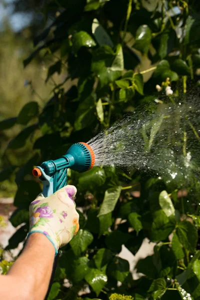 Woman Watering Plants Watering Gun Sprayer. — Stock Photo, Image