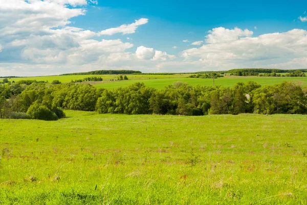 Campos agrícolas con árboles bajo el cielo con nubes . — Foto de Stock