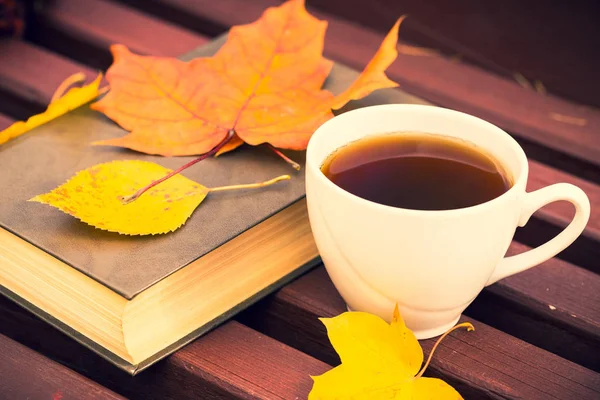 Чашка чая и книга с осенними листьями на скамейке запасных . Стоковая Картинка