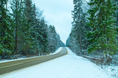Way Road In Thick Snowy Forest.