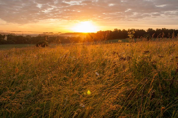 Campo de pradera encendido al amanecer o al atardecer Sol en verano . — Foto de Stock