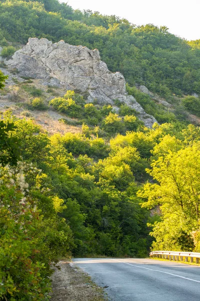 Sentiero Sgombro Montagna Con Piante Verdi Giorno Soleggiato Crimea Ucraina — Foto Stock