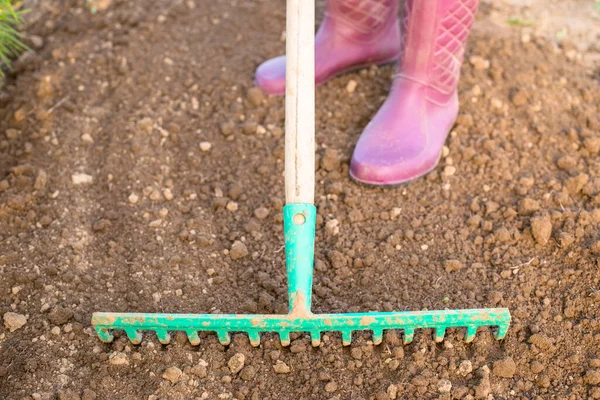 Close Up Women With Rake On Ground In Garden At Spring Top View.