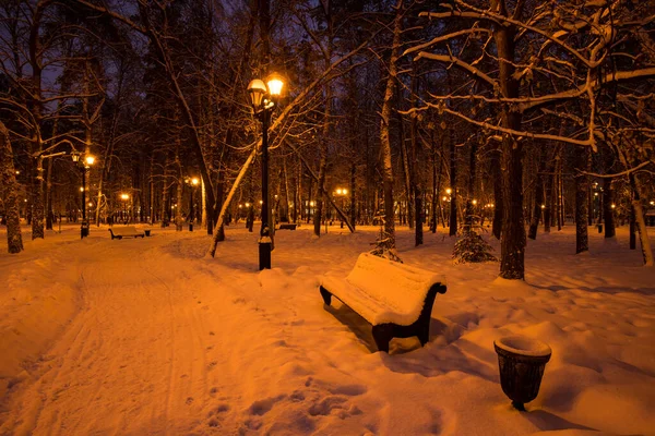 公园里美丽的冬季风景 有白雪覆盖的长椅和夜晚燃烧的灯笼 — 图库照片