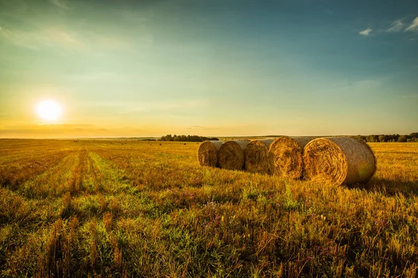 Hermoso Paisaje Escénico Con Grupo Balas Paja Camino Campo Agrícola Fotos De Stock Sin Royalties Gratis