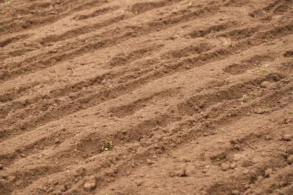 春季特写农业田里用拖拉机抽水后的软棕土 — 图库照片