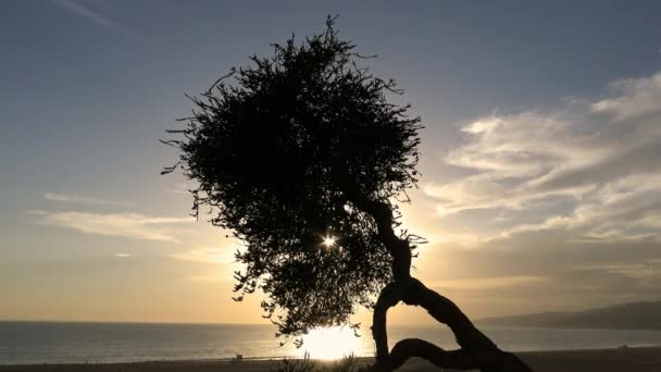 Una puesta de sol pintoresca en la costa de Santa Mónica. Los Ángeles . — Vídeo de stock