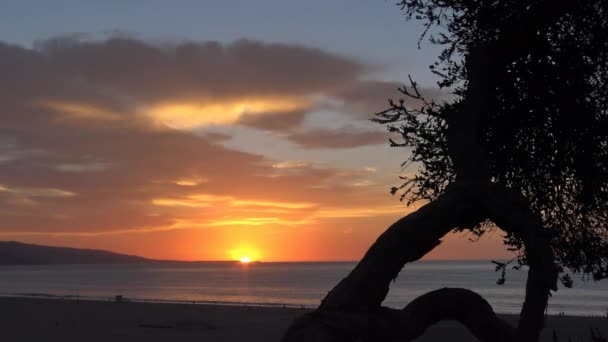 Una puesta de sol pintoresca en la costa de Santa Mónica. Los Ángeles . — Vídeos de Stock