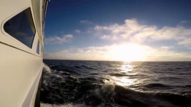 Dalış Safari. Pasifik Okyanusu. California.