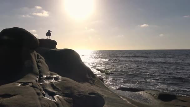 Een schilderachtige zonsondergang over de kust van San Diego. Californië. — Stockvideo