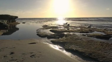 San Diego sahil manzaralı bir gün batımı. California.