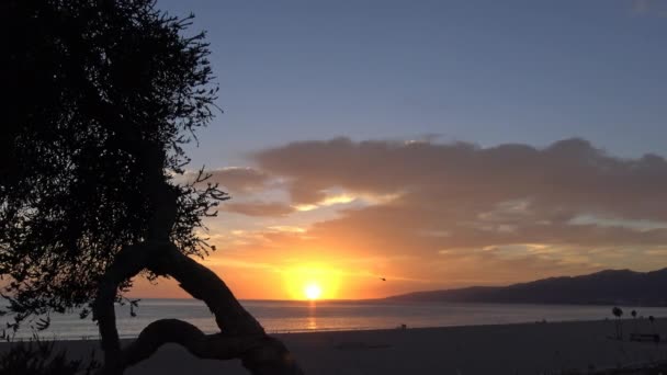 Scenic zachód słońca na wybrzeżu Santa Monica. Los Angeles. — Wideo stockowe