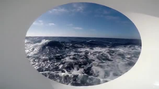 Safari de mergulho. Do Oceano Pacífico. Califórnia . — Vídeo de Stock