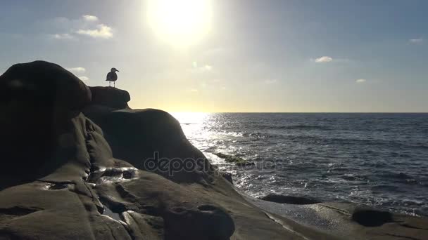 Ein malerischer sonnenuntergang an der küste von san diego. Kalifornien. — Stockvideo