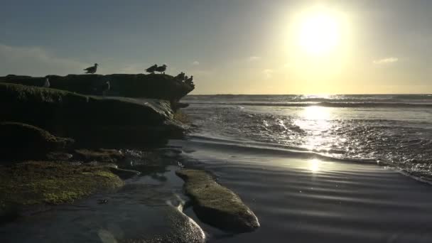 Ένα μαγευτικό ηλιοβασίλεμα, σχετικά με την ακτή του Σαν Ντιέγκο. Καλιφόρνια. — Αρχείο Βίντεο
