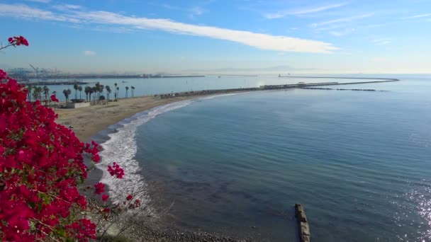 De schilderachtige kust van Los Angeles. Californië. — Stockvideo