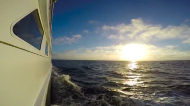 Guadalupe Adası dalış Safari gezisi. Pasifik Okyanusu.