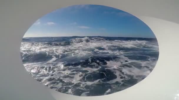 Safari plongée sur l'île de Guadalupe. De l'océan Pacifique . — Video