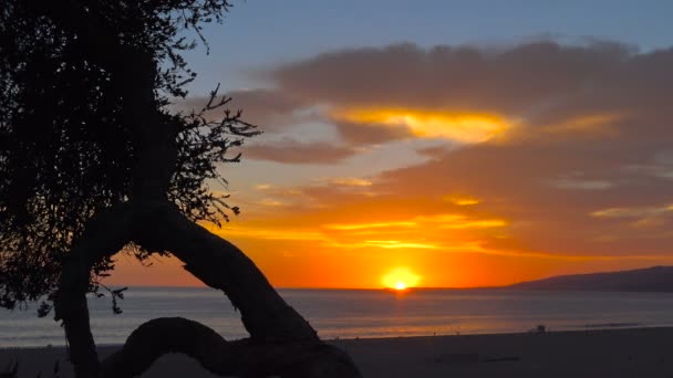 Scenic zachód słońca na wybrzeżu Santa Monica. Los Angeles. California. — Wideo stockowe