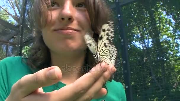 La alegría de las mariposas hechas a mano. Tailandia. Phuket. . — Vídeos de Stock