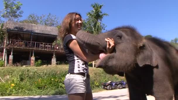 La alegría de interactuar con el elefante bebé amigable. Tailandia. Phuket. . — Vídeo de stock