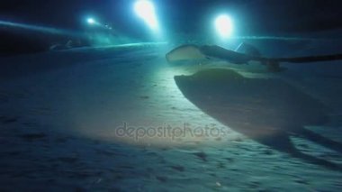 Heyecan verici gece köpekbalıkları ve stingrays ile dalış. Maldivler.