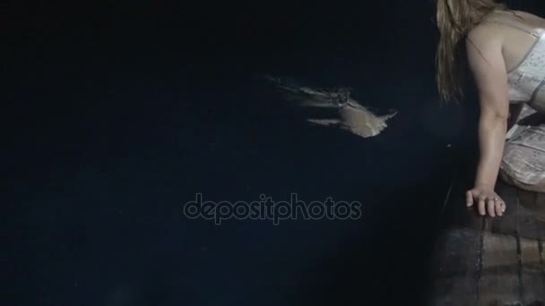 Los tiburones acompañan su barco de buceo día y noche. Emocionante viaje de buceo Safari en las Islas del archipiélago de las Maldivas . — Vídeos de Stock