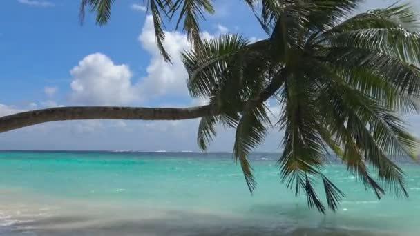 Pittoresca isola disabitata dell'arcipelago delle Maldive . — Video Stock