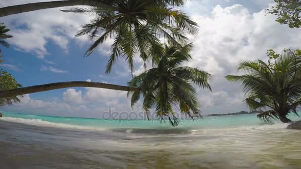 Île pittoresque inhabitée de l'archipel des Maldives . — Video