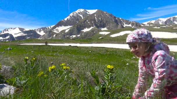 Toeristische camping in de nabijheid van de berg Oshten. De Kaukasische bergen. Rusland. — Stockvideo